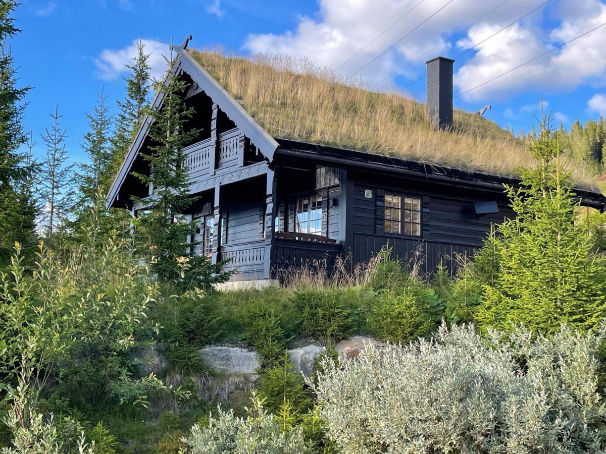 Ski And Bike-In And Out Hafjell Exterior foto